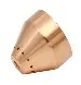 Torch shield 220817
