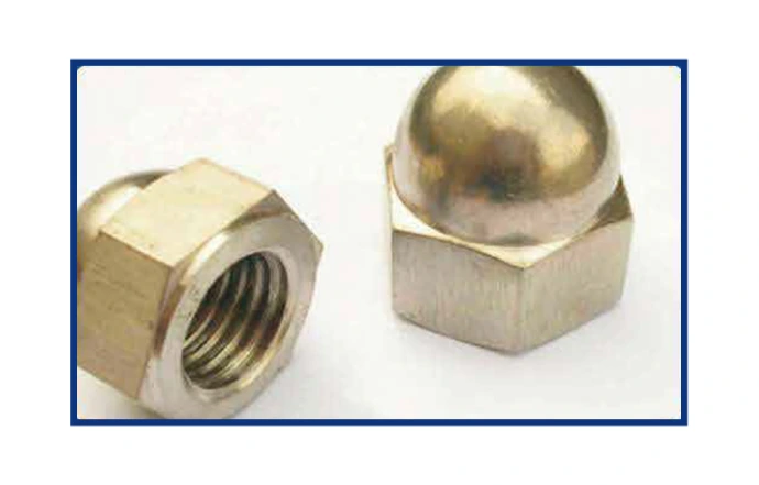 Cap Nut protective closed-end nut