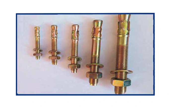 Wedge Anchor (Through Bolt) heavy-duty concrete anchor